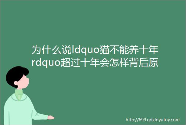 为什么说ldquo猫不能养十年rdquo超过十年会怎样背后原因看哭了