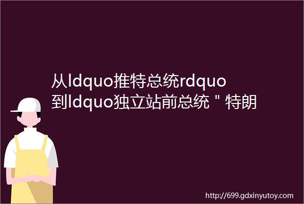 从ldquo推特总统rdquo到ldquo独立站前总统＂特朗普个人网站上线给中国卖家带来哪些启示