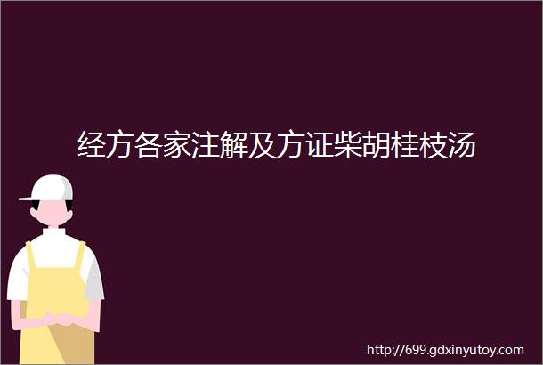 经方各家注解及方证柴胡桂枝汤